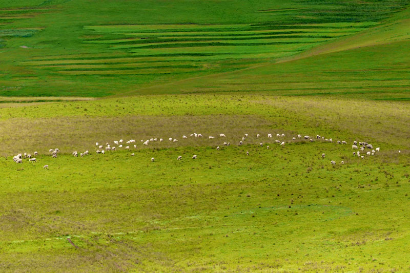 Lesotho